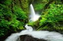 Rushing Water
