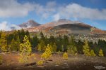 Blick von unten auf den Teide und den aus dieser Perspektive fast genauso hohen Pico Viejo (aufgenommen vom Parkplatz bei Montana Samara)