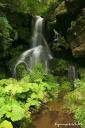 Der Lichtenhainer Wasserfall im Kirnitzschtal