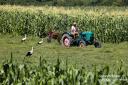 ...die auf den umliegenden Feldern die Traktoren verfolgen...