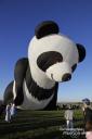 Pandy Panda erwacht zum Leben