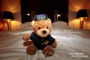Der kleine Teddybär, der Star des Hotel Bülow Palais