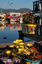 Flower Power bei den Floating Homes von Sausalito