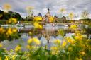 Blick auf die Brühlsche Terrasse in Dresden durch die Blumen