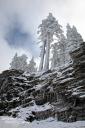 Frisch verschneite Bäume und Eiszapfen am Crater Lake