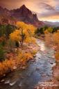 Die schönste Jahreszeit für den Besuch des Zion Canyons ist unserer Meinung nach Ende Oktober/Anfang November; hier der Watchman nach Sonnenuntergang.