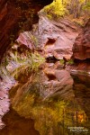 Diese tunnelartige Stelle im West Fork of the Oak Creek Canyon ist für uns eine der schönsten Plätze rund um Sedona.