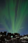 Eine pulsierende Aurora kann sich aber auch bogenartig quer über den Himmel anordnen und dabei eine leicht grünliche Farbe annehmen.