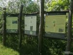 Im Biosphärenreservat Oberlausitzer Teiche stehen an vielen Orten gute Erläuterungstafeln, hier die Schilder am Roten Lugteich zur 750 Jahre alten Tradition der Karpfenzucht.